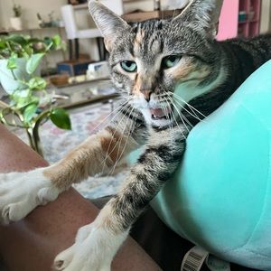 💄FREE SHIPPING ON BUNDLES 3 or more!